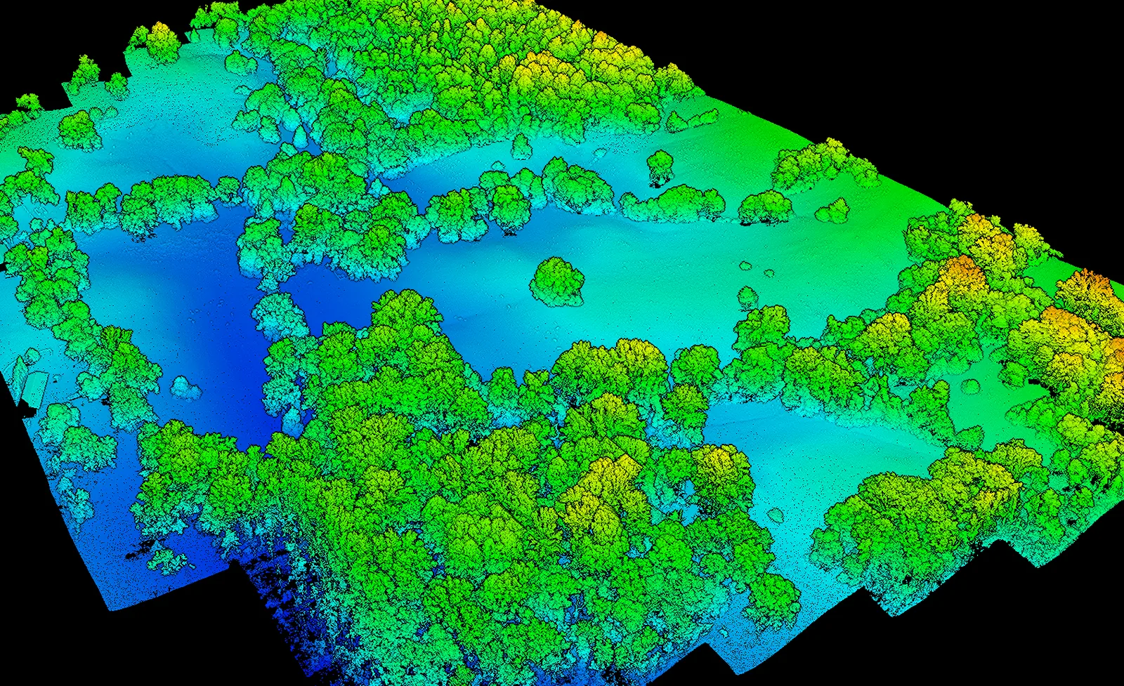 Drone LiDAR point cloud colored by elevation, showing tree canopy and the ground between trees